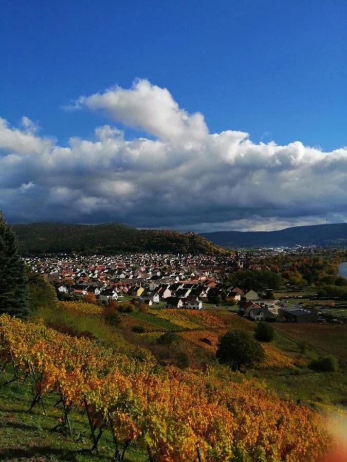 Ferienwohnung Familie Buchner Großheubach Eksteriør bilde